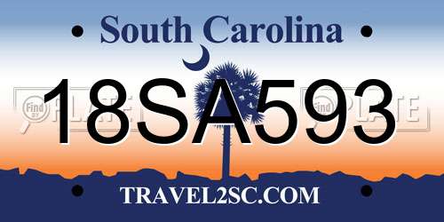 18SA593 South Carolina License Plate