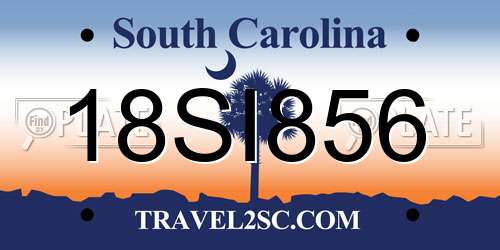 18SI856 South Carolina License Plate