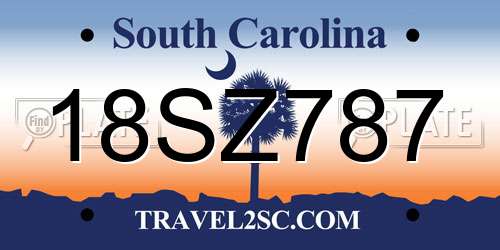 18SZ787 South Carolina License Plate
