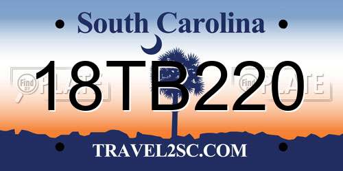18TB220 South Carolina License Plate