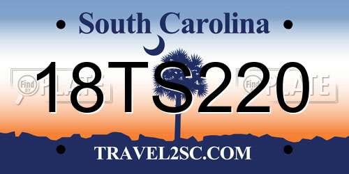 18TS220 South Carolina License Plate