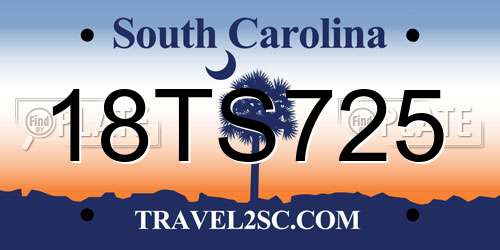 18TS725 South Carolina License Plate