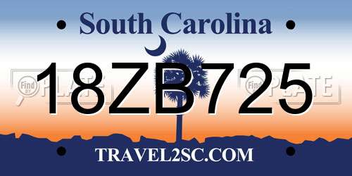 18ZB725 South Carolina License Plate