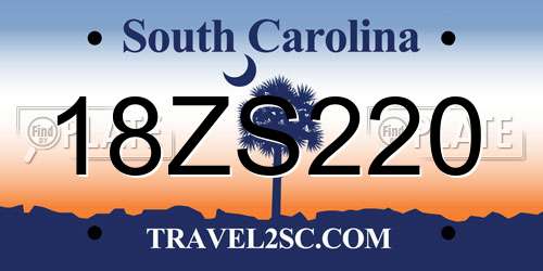 18ZS220 South Carolina License Plate