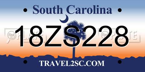 18ZS228 South Carolina License Plate