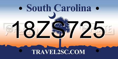 18ZS725 South Carolina License Plate