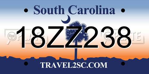 18ZZ238 South Carolina License Plate