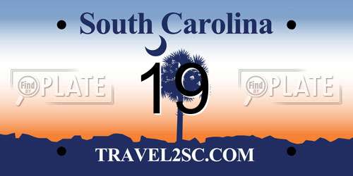 19 South Carolina License Plate