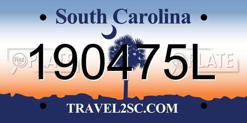 190475L South Carolina License Plate