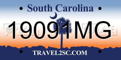 19091MG South Carolina License Plate