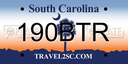 190BTR South Carolina License Plate