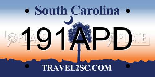 191APD South Carolina License Plate