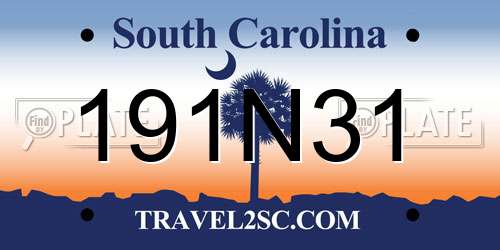 191N31 South Carolina License Plate