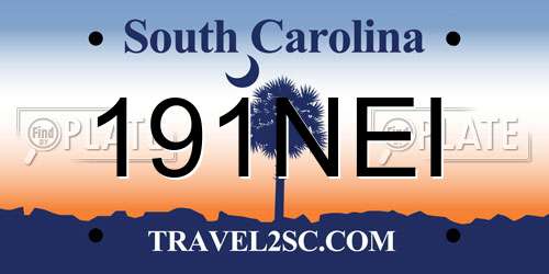 191NEI South Carolina License Plate