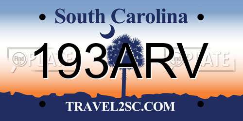193ARV South Carolina License Plate