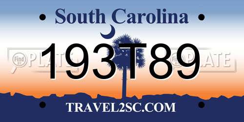 193T89 South Carolina License Plate