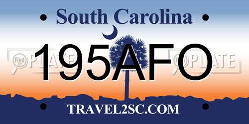 195AFO South Carolina License Plate