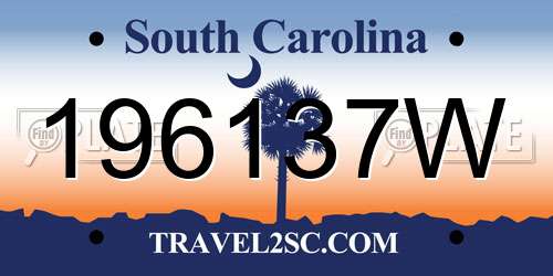 196137W South Carolina License Plate