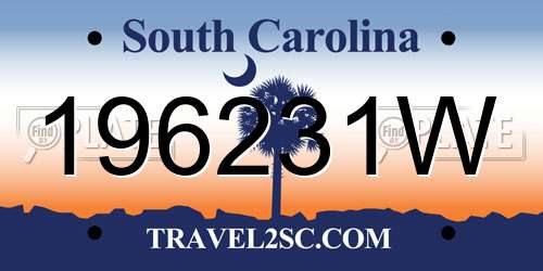 196231W South Carolina License Plate