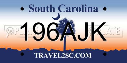 196AJK South Carolina License Plate