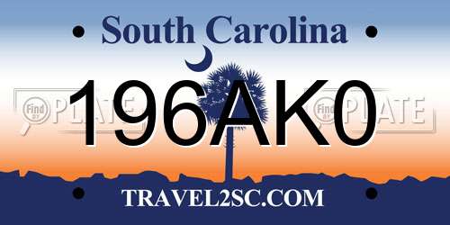196AK0 South Carolina License Plate