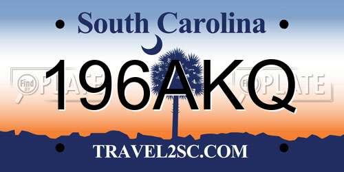 196AKQ South Carolina License Plate