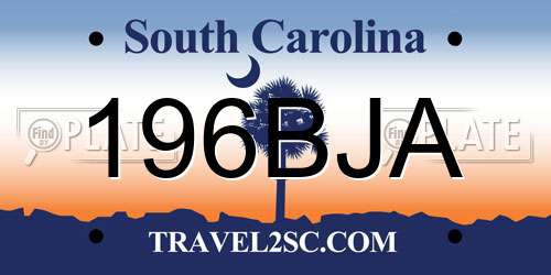 196BJA South Carolina License Plate