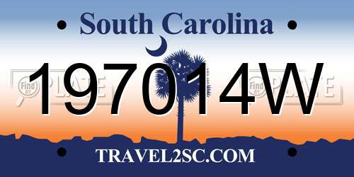 197014W South Carolina License Plate