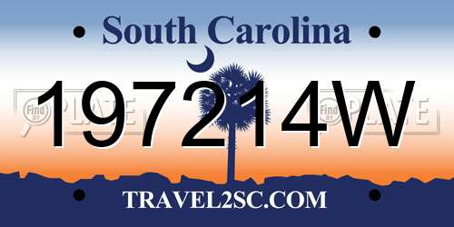197214W South Carolina License Plate