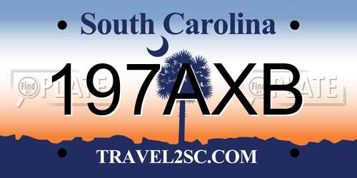197AXB South Carolina License Plate