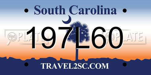 197L60 South Carolina License Plate