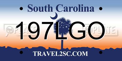 197LGO South Carolina License Plate