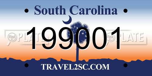 199001 South Carolina License Plate