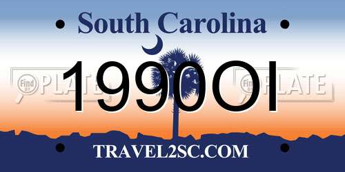 1990OI South Carolina License Plate