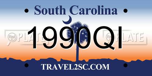 1990QI South Carolina License Plate