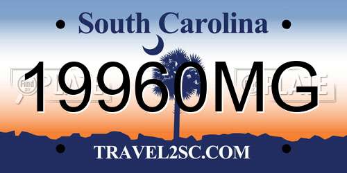 19960MG South Carolina License Plate