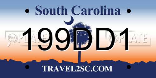 199DD1 South Carolina License Plate