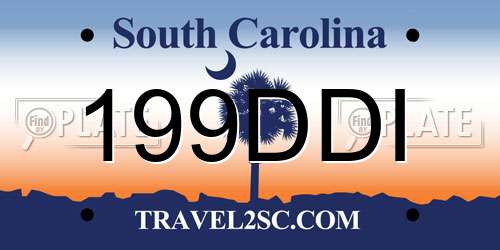 199DDI South Carolina License Plate