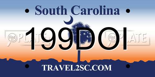 199DOI South Carolina License Plate