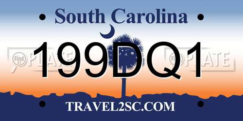 199DQ1 South Carolina License Plate