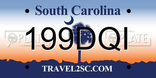 199DQI South Carolina License Plate