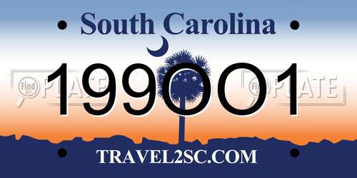 199OO1 South Carolina License Plate