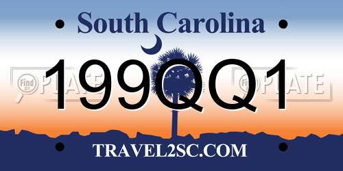 199QQ1 South Carolina License Plate