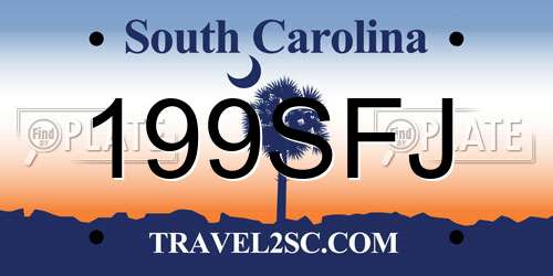 199SFJ South Carolina License Plate