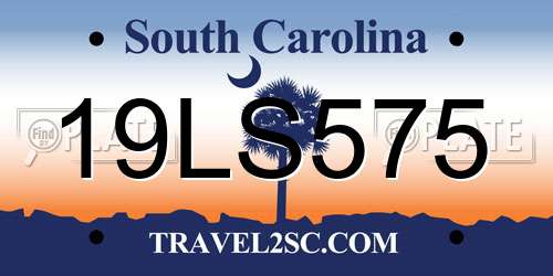 19LS575 South Carolina License Plate