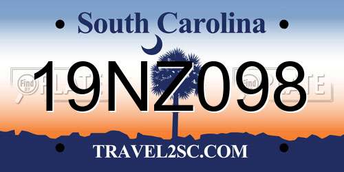 19NZ098 South Carolina License Plate