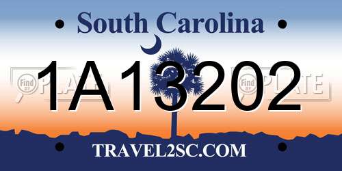 1A13202 South Carolina License Plate