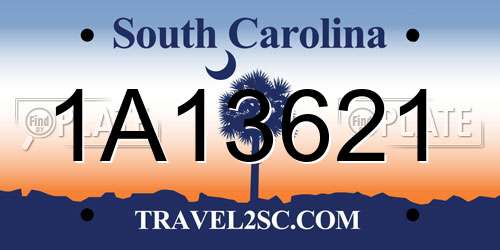 1A13621 South Carolina License Plate
