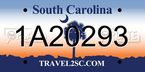 1A20293 South Carolina License Plate