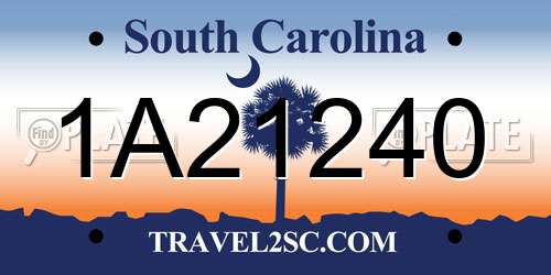 1A21240 South Carolina License Plate